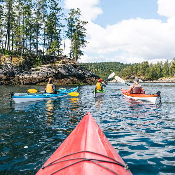 Kayak Rentals